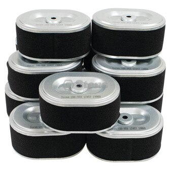 Air Filter Shop Pack For Honda 17210-ZE0-505 (Stens 100-984)